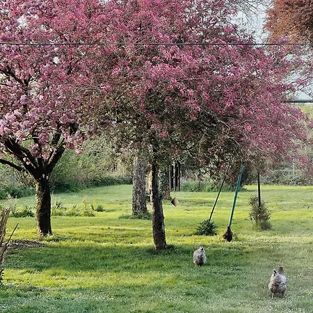 Ch2 - Manoir Du Moulinier - Campagne - Calme - Petit-déjeûner Inclus - Table D'hôte Sur Réservation - Parking Gratuit La Limouziniere (Loire-Atlantique)