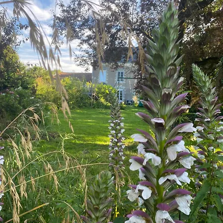 Bed & Breakfast Ch2 - Manoir Du Moulinier - Campagne - Calme - Petit-dejeuner Inclus - Table D'hote Sur Reservation - Parking Gratuit