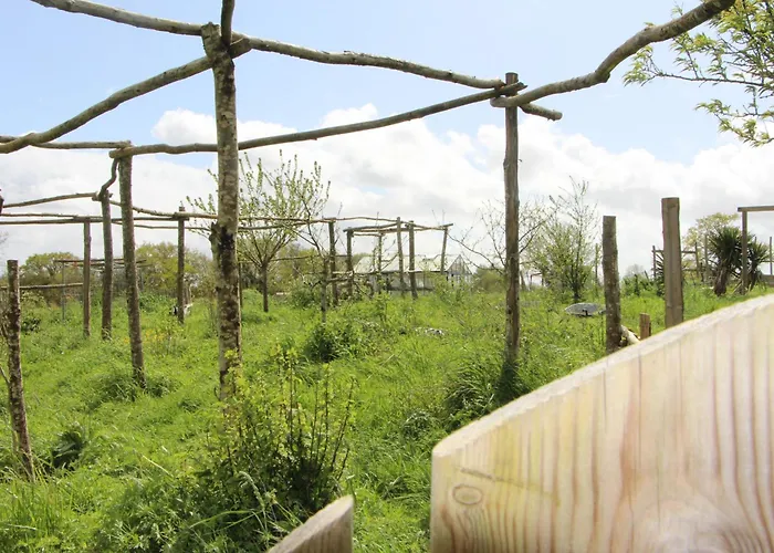 Ch2 - Manoir Du Moulinier - Campagne - Calme - Petit-déjeûner Inclus - Table D'hôte Sur Réservation - Parking Gratuit Couette-café La Limouziniere (Loire-Atlantique)