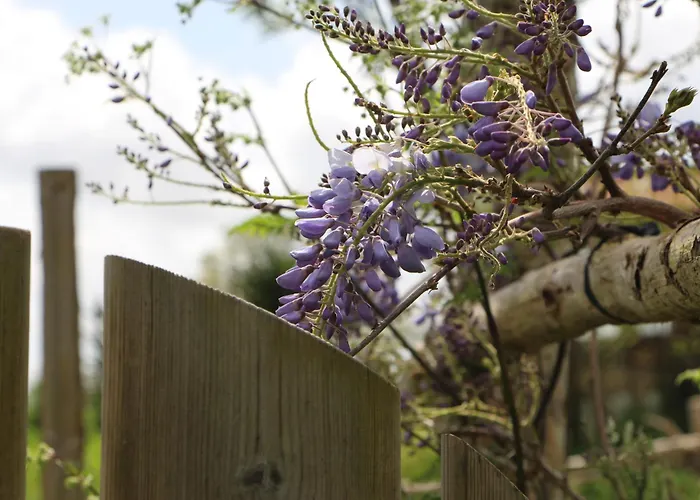 Ch2 - Manoir Du Moulinier - Campagne - Calme - Petit-déjeûner Inclus - Table D'hôte Sur Réservation - Parking Gratuit Couette-café